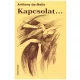 Anthony de Mello: Kapcsolat...