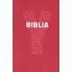 Y-Biblia - Ifjúsági Biblia 
