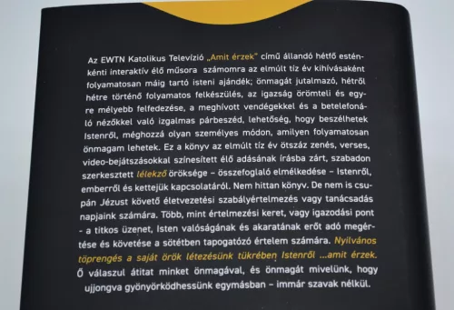 Bányai Miklós: Töprengés Istenről 