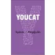 YOUCAT Gyónás – Megújulás