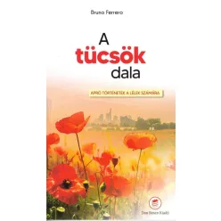 Bruno Ferrero: A tücsök dala 