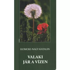 Homoki - Nagy Katalin - Valaki jár a vízen